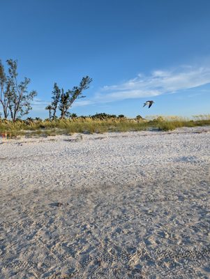 Bean Point Beach by null