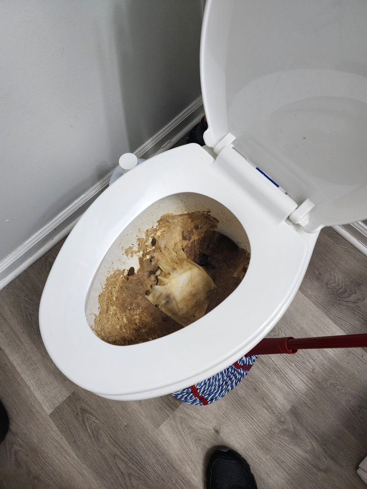 EVERNEST PROPERTY MANAGEMENT Updated October 2024 5050 Poplar Ave