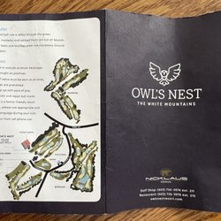 Owl's Nest Golf Club - Note, hole #10, Par 3 with elevated tee box