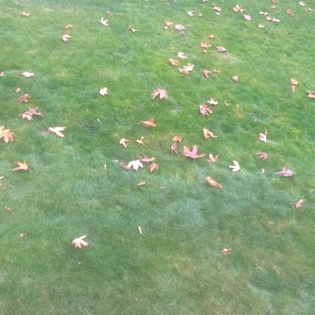 Pro-Lawn Care Etc - It's filling in so good!! - Landscaping Near Me - Silverdale, Washington Pro-Lawn Care Etc - It's filling in so good!! - Landscaping Near Me - Silverdale, Washington