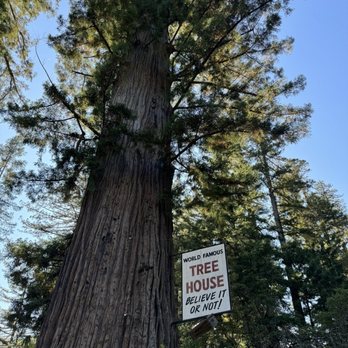 Tree House - Shopping Near Me - Piercy, California