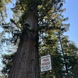 Tree House