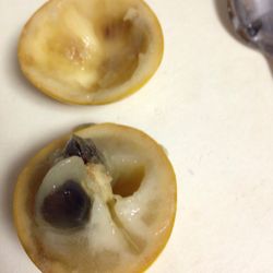 Rowena's Produce - Fruit that is close to the Brest milk fruit but less sweet.