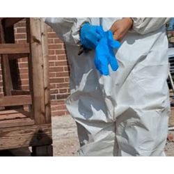 Hemphill Construction and Restoration - Mold restoration