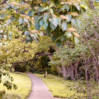 Arnold Arboretum - Parks Near Me - Boston, Massachusetts