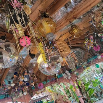 Whimzeyland - Art Tours Near Me - Safety Harbor, Florida Whimzeyland - Art Tours Near Me - Safety Harbor, Florida
