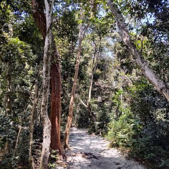 Simpson Park - Parks Near Me - Miami, Florida