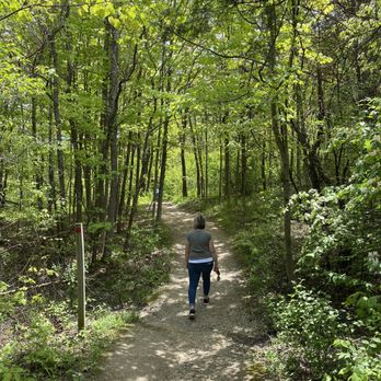 Cox Arboretum MetroPark - Parks Near Me - Dayton, Ohio Cox Arboretum MetroPark - Parks Near Me - Dayton, Ohio