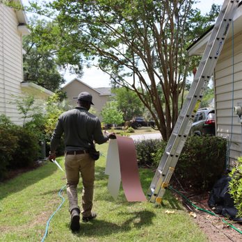 Peskey Solutions - Pest Control Near Me