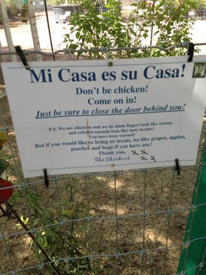 Civano Nursery - Retail Location by null