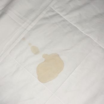 Primm Valley Resort - Stains on bedding - Hotels Near Me - Primm, Nevada Primm Valley Resort - Stains on bedding - Hotels Near Me - Primm, Nevada
