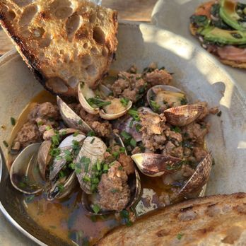 Fig Tree - Clams - Cafes Near Me - Los Angeles, California Fig Tree - Clams - Cafes Near Me - Los Angeles, California