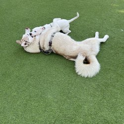 Barker Ranch Dog Park