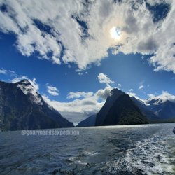 Cruise Milford