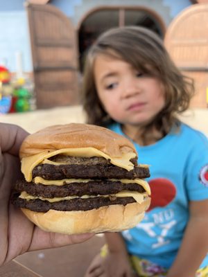 LEGOLAND® New York Resort by null