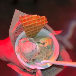 Jeni's Splendid Ice Creams - Pistachio and salted peanut butter