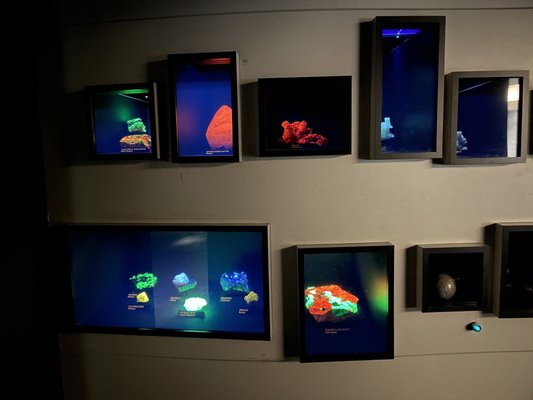 Carnegie Museum of Natural History by null