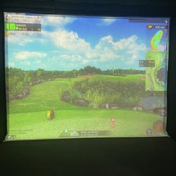 4 Majors Indoor Golf - Virtual course!