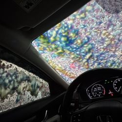 The Car Wash
