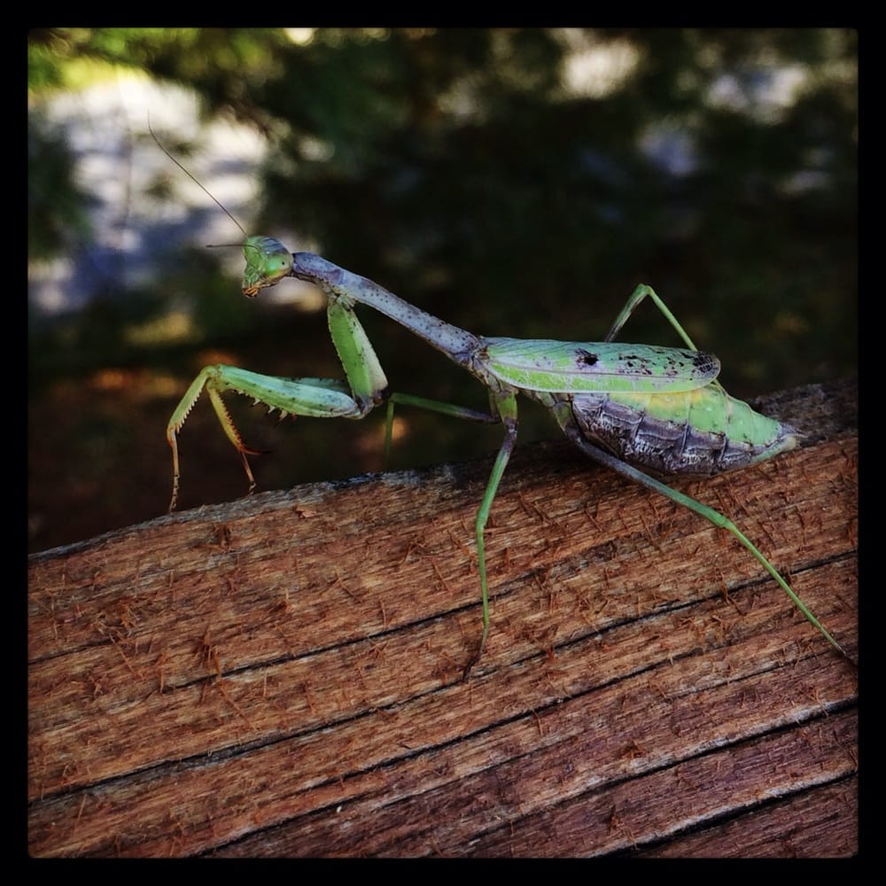 Social spots from Harrogate City Park