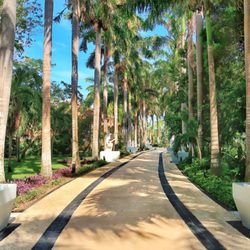 Tambonia Travel - Your Dream Vacay Awaits!