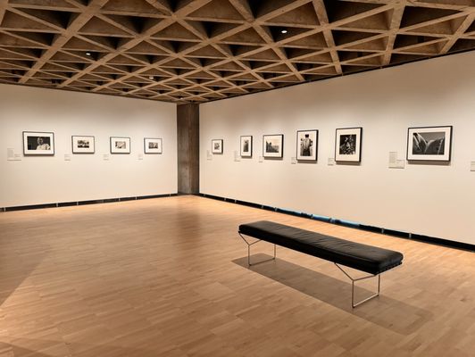 Yale University Art Gallery by null