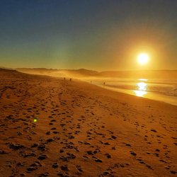 Kutz Mobile Monterey Notary Services