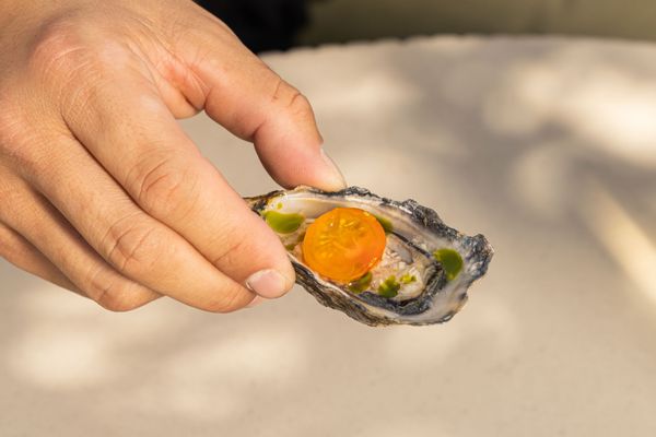 Folia Bar & Kitchen by null