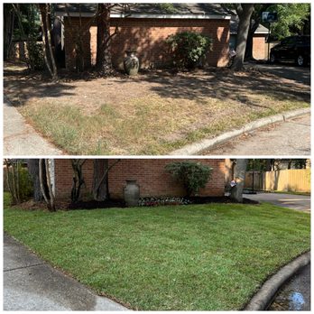 Exoservices - Soding - Pressure Washers Near Me - Spring, Texas
