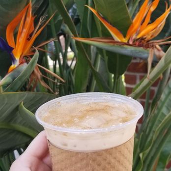 Axum Coffee - Apple butter iced chai - Coffee & Tea Near Me - Winter Garden, Florida