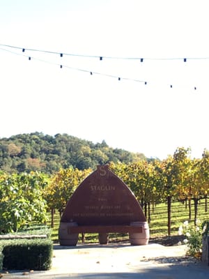 Staglin Family Vineyard by null