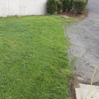 Jess Lawn Services - This is a before pik of a yard I did - Lawn Services Near Me