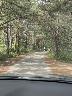 Long Point Wildlife Refuge by null