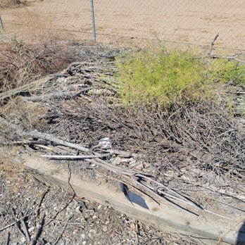 Daniel's Affordable Landscaping - Landscaping Near Me - Hesperia, California