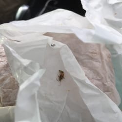 Wilco Travel Plaza - The roach that got smashed between the burger wrapper.