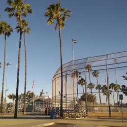 Baseball fields surrounded by palm trees