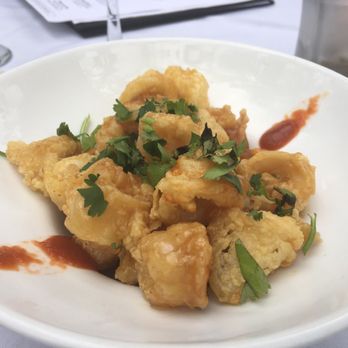 The Real Macaw - Fried calamari - Seafood Near Me - Naples, Florida The Real Macaw - Fried calamari - Seafood Near Me - Naples, Florida