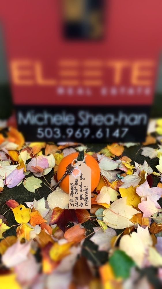 MICHELE SHEAHAN ELEETE REAL ESTATE Updated August 2024 118 Photos 9200 SW Barnes Rd