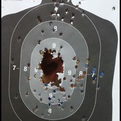 Distinguished Pistol Outdoor Shooting Range