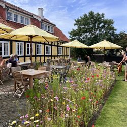 Saxild Cafe - Garden seating