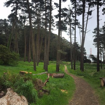 Kirby Cove - The campground area - Campgrounds Near Me - Sausalito, California Kirby Cove - The campground area - Campgrounds Near Me - Sausalito, California