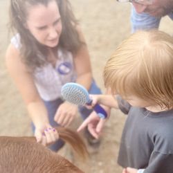 Horses4Heroes' The Ranch - Learning to brush a miniature pony