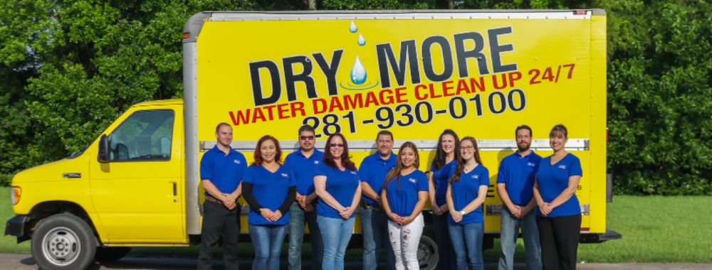 DryMore - Pearland - mold inspector in Pearland, TX