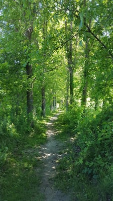 Ethan Allen Homestead Museum and Historic Site by null