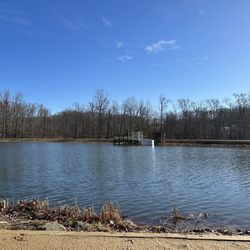 Locust Shade Park - Water front