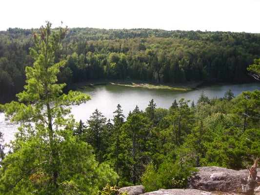 Cobscook Bay State Park by null