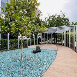 City Zen Garden