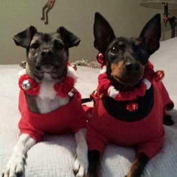 Maricamp Animal Hospital - Veterinarians Near Me - Ocala, Florida