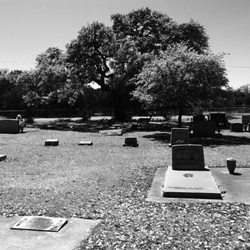 Boerne Cemetery - Boerne Cemetery