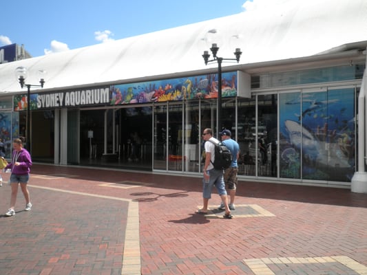 SEA LIFE Sydney Aquarium by null